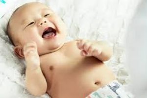 images (8) images (8)